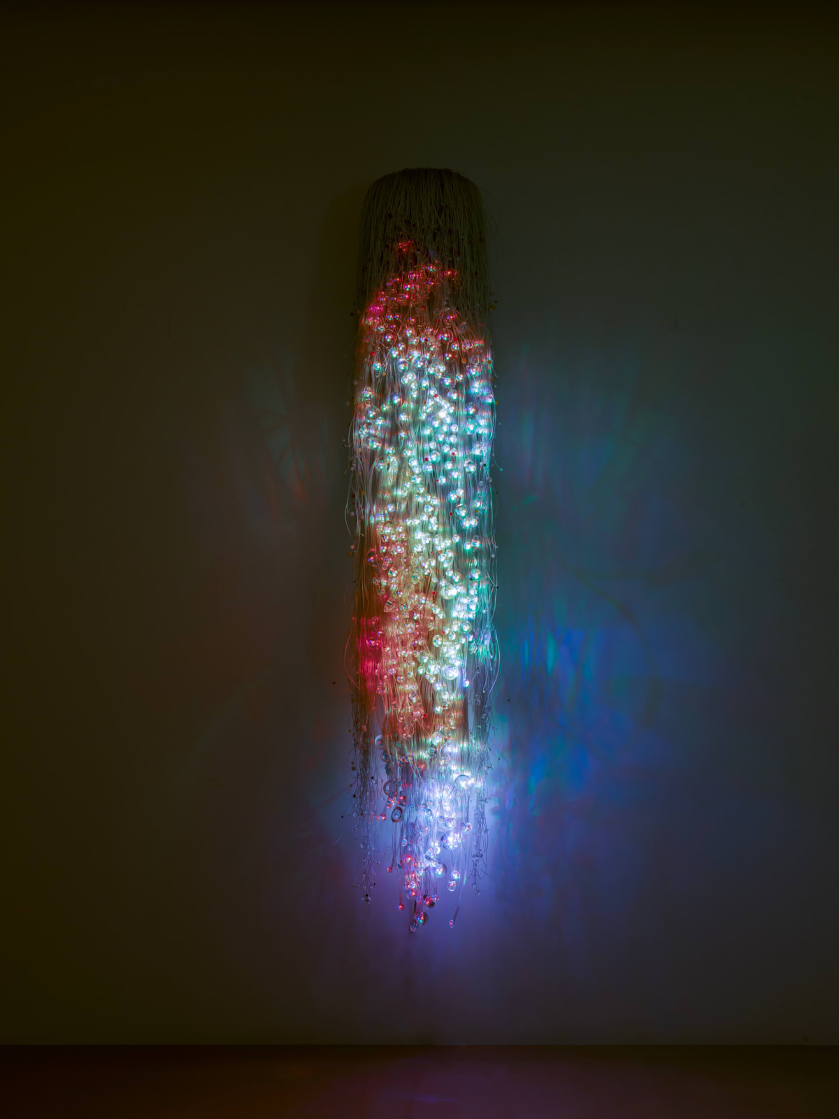 Doki Kim, Moonlight Seeds, 2025