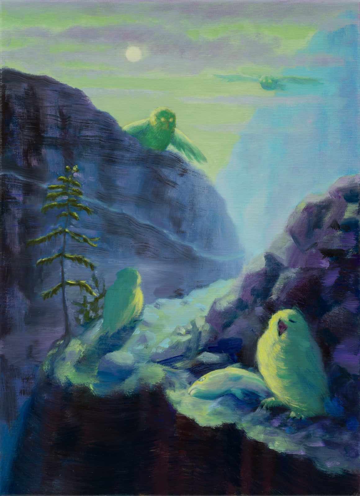 Minyoung Choi, Owls , 2025