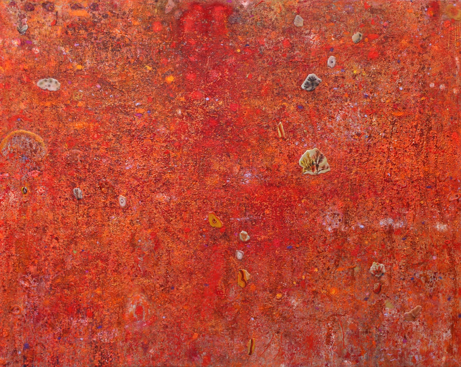 Ido Park, Wonder Garden, 2025