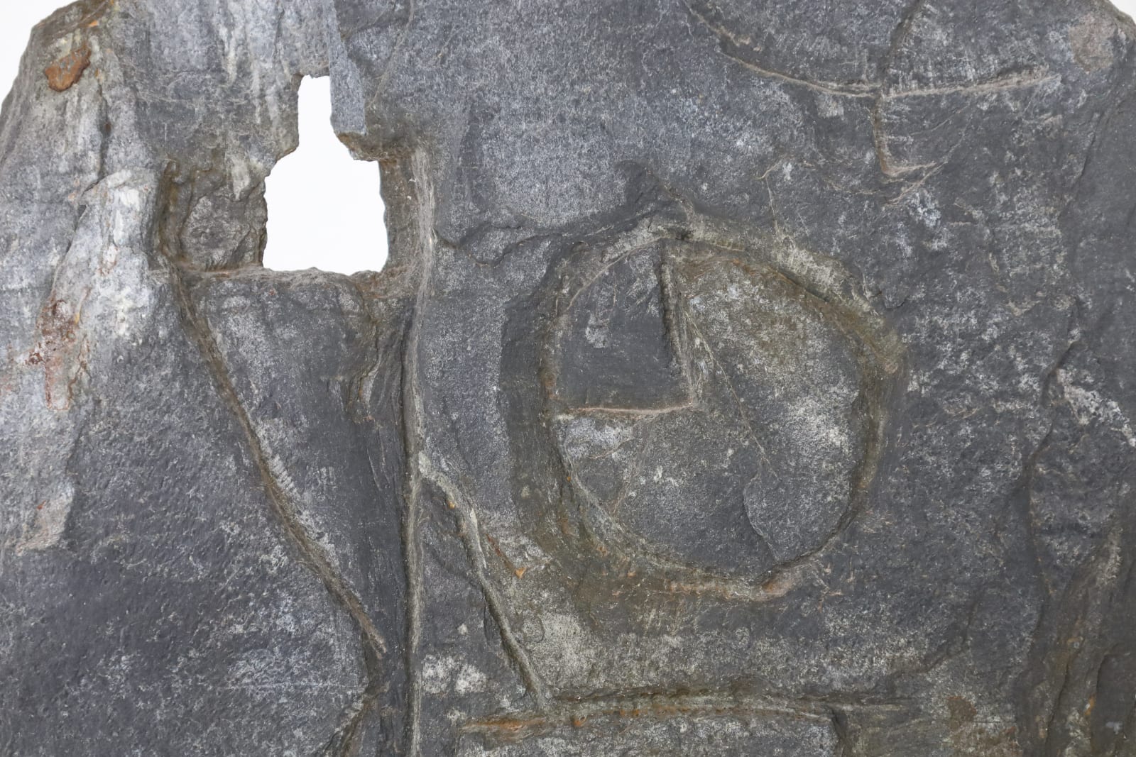 Vera Szekely, Bas-relief