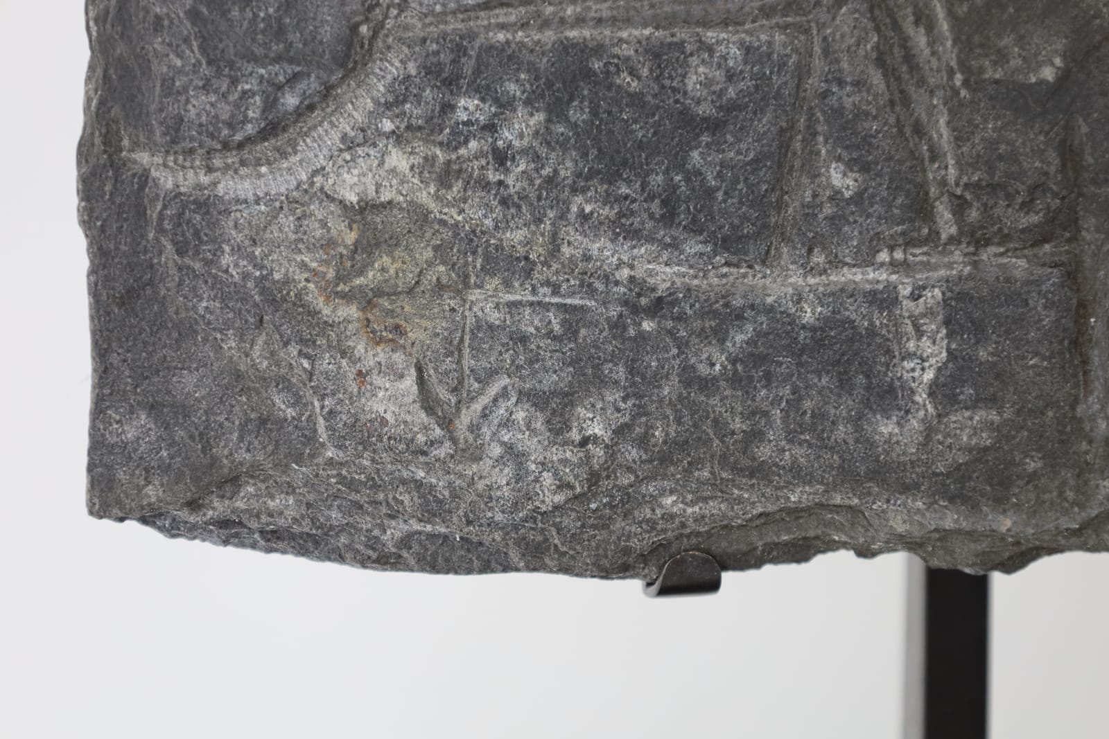 Vera Szekely, Bas-relief