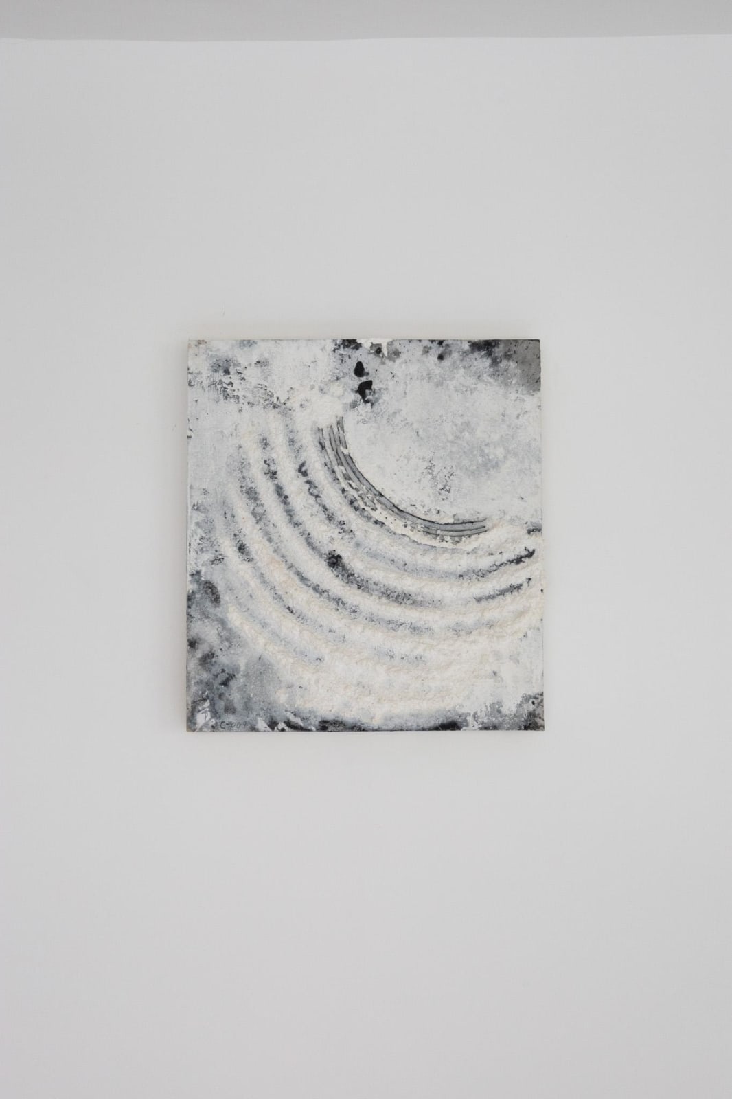 Guillem Nadal, C-009, 2009