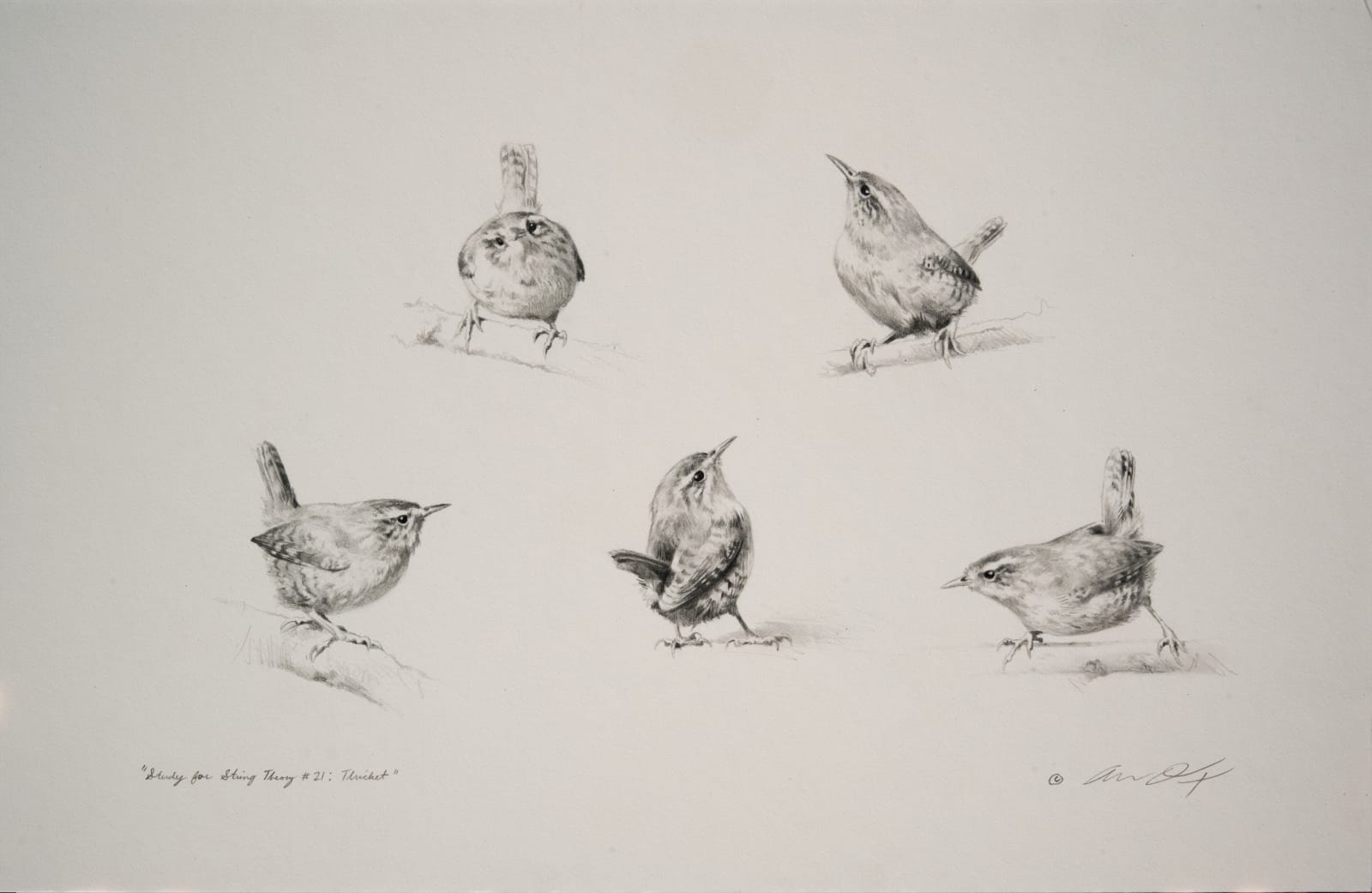 Andrew Denman, Study for 'String Theory #21: Thicket'