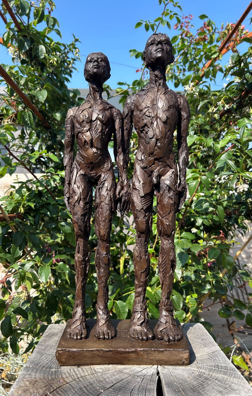 Carol Peace, Allies 2020