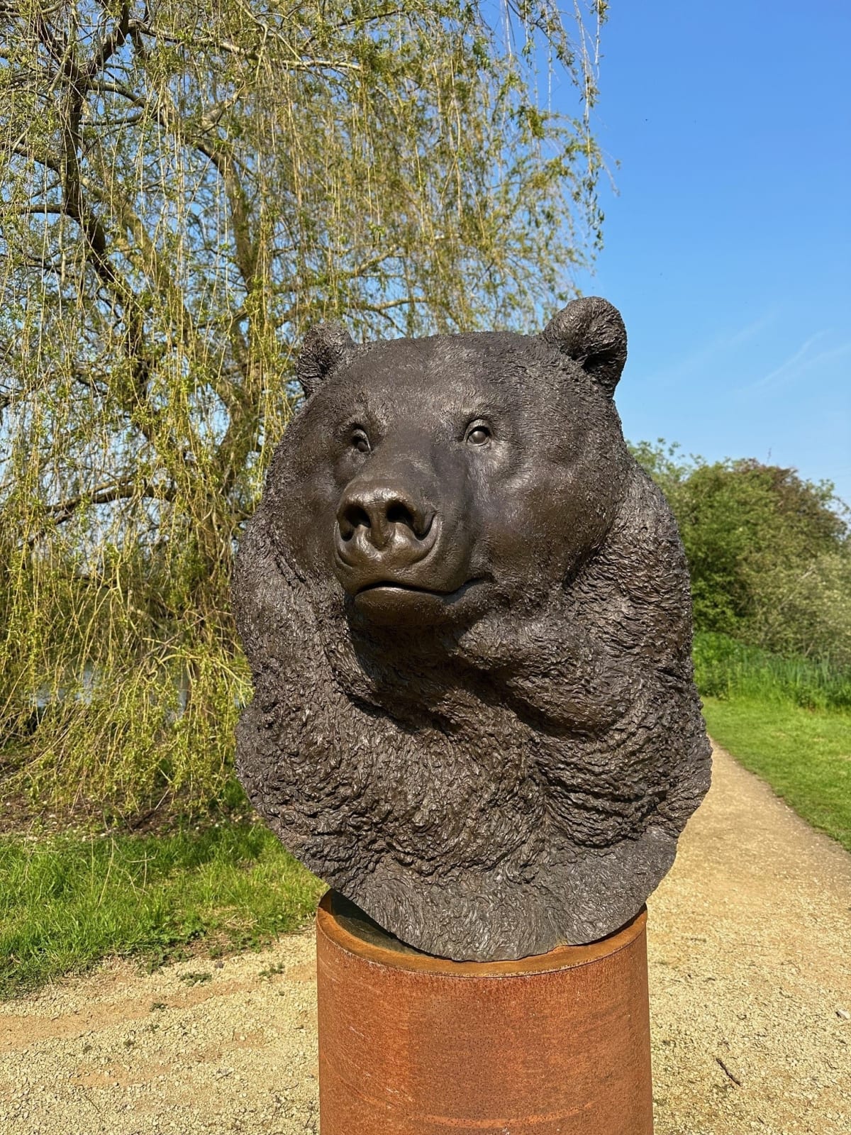 Nick Bibby, Kodiak Brown Bear (Indomitable – Head Study)