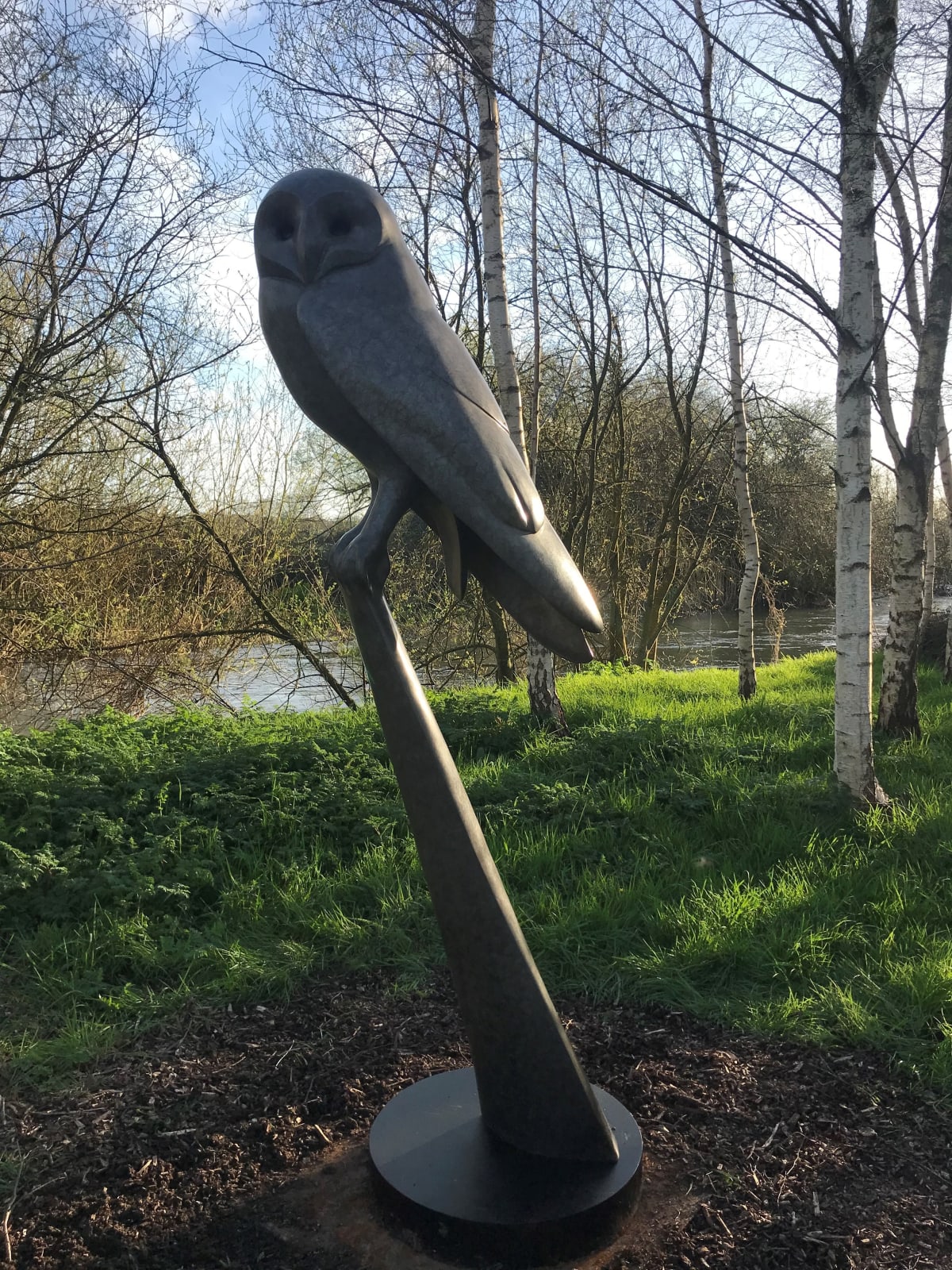 Carl Longworth, Barn Owl Resting