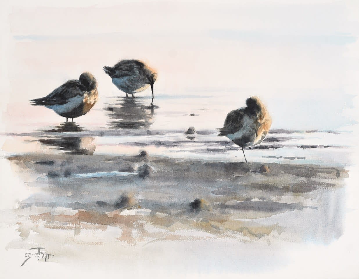 Gunnar Tryggmo, Morning Light (Dunlins), 2025