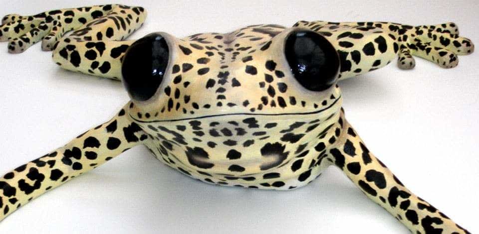 Clare Ferguson-Walker, Leopard Frog