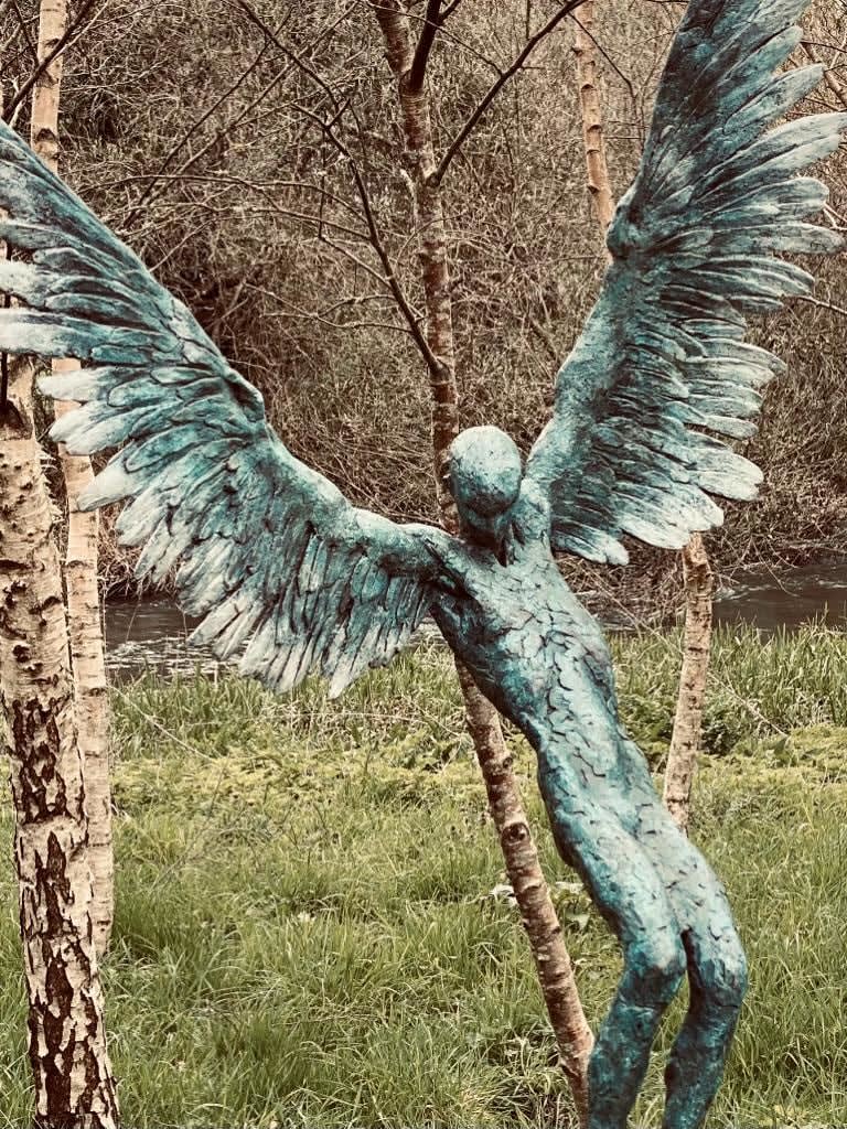 Nicola Godden, Icarus X