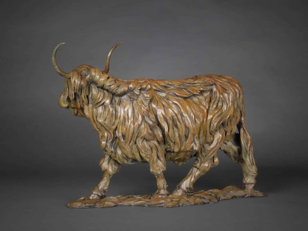 William Montgomery, Highland Cow, 2023