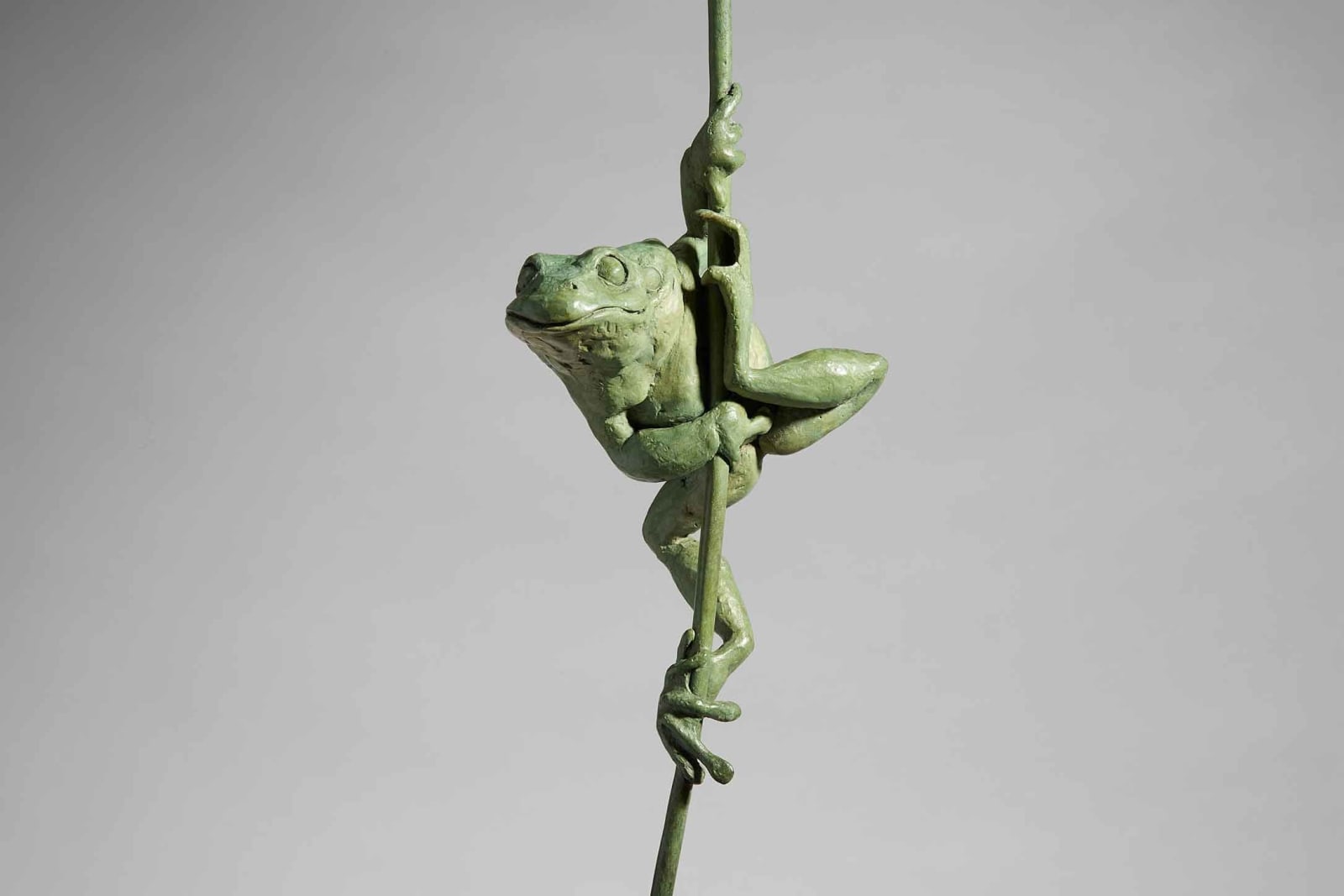 Fred Gordon, Tree Frog, 2018