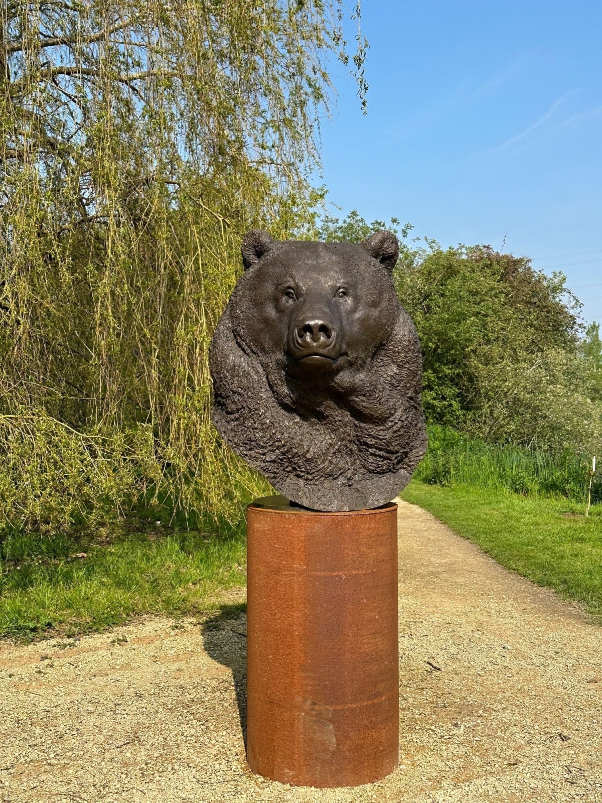 Nick Bibby, Kodiak Brown Bear (Indomitable – Head Study)