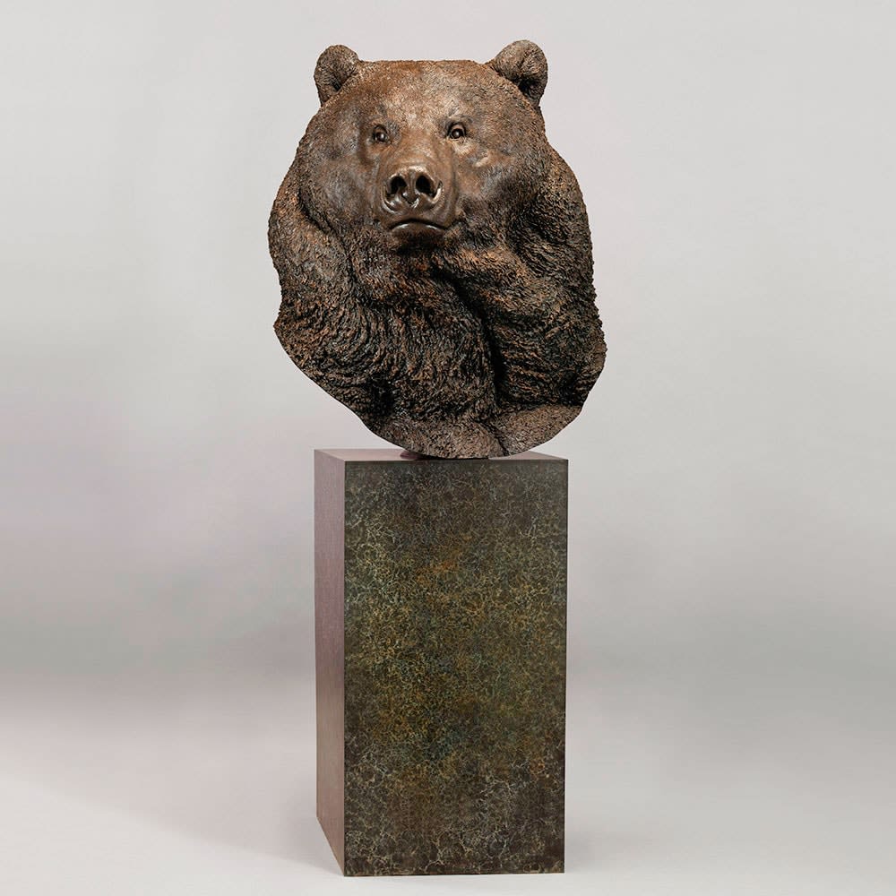 Nick Bibby, Kodiak Brown Bear (Indomitable – Head Study)