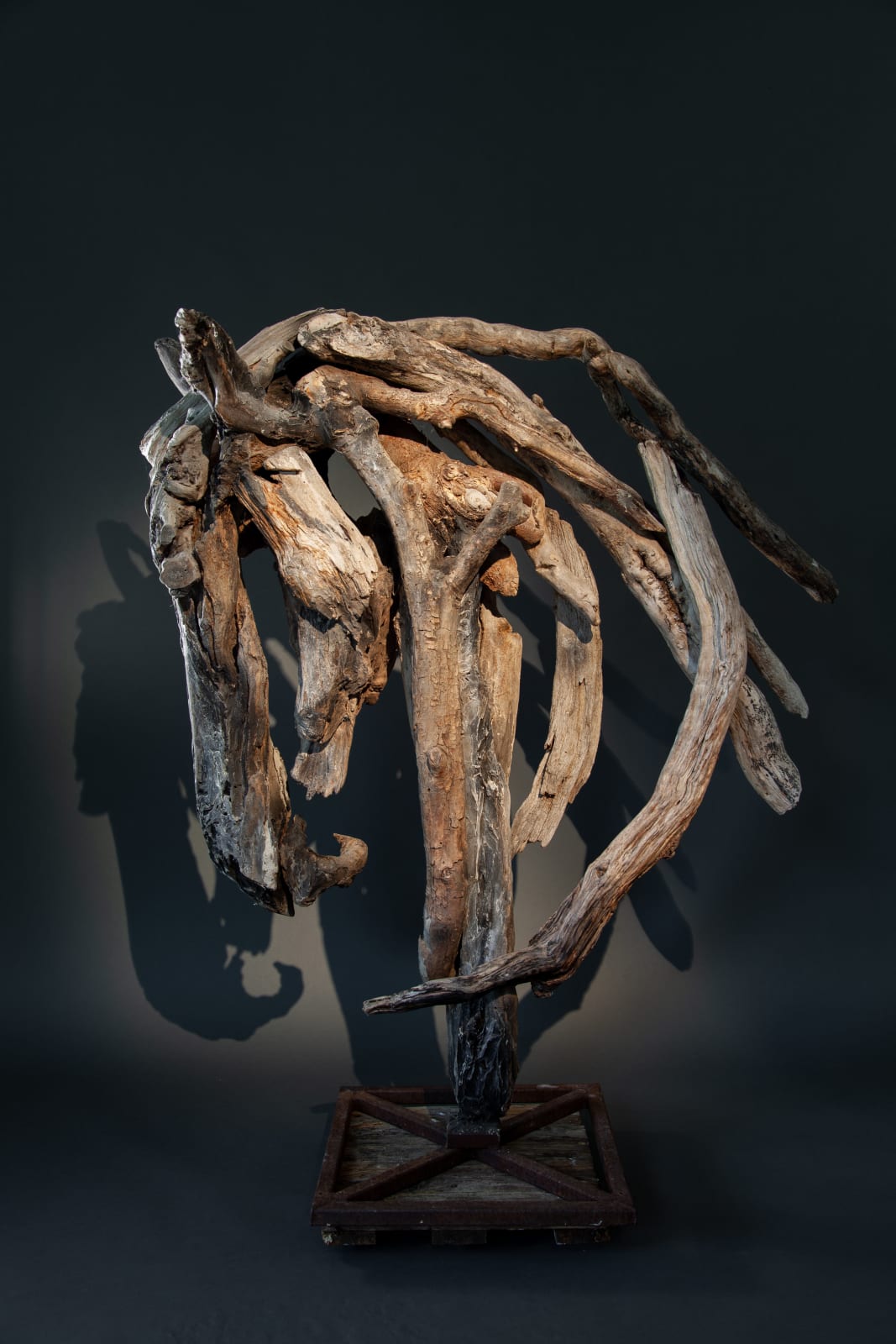 Heather Jansch, Shaker
