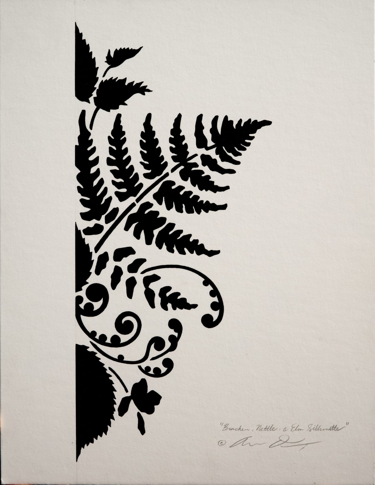 Andrew Denman, Bracken, Nettle & Elm Silhouette Study