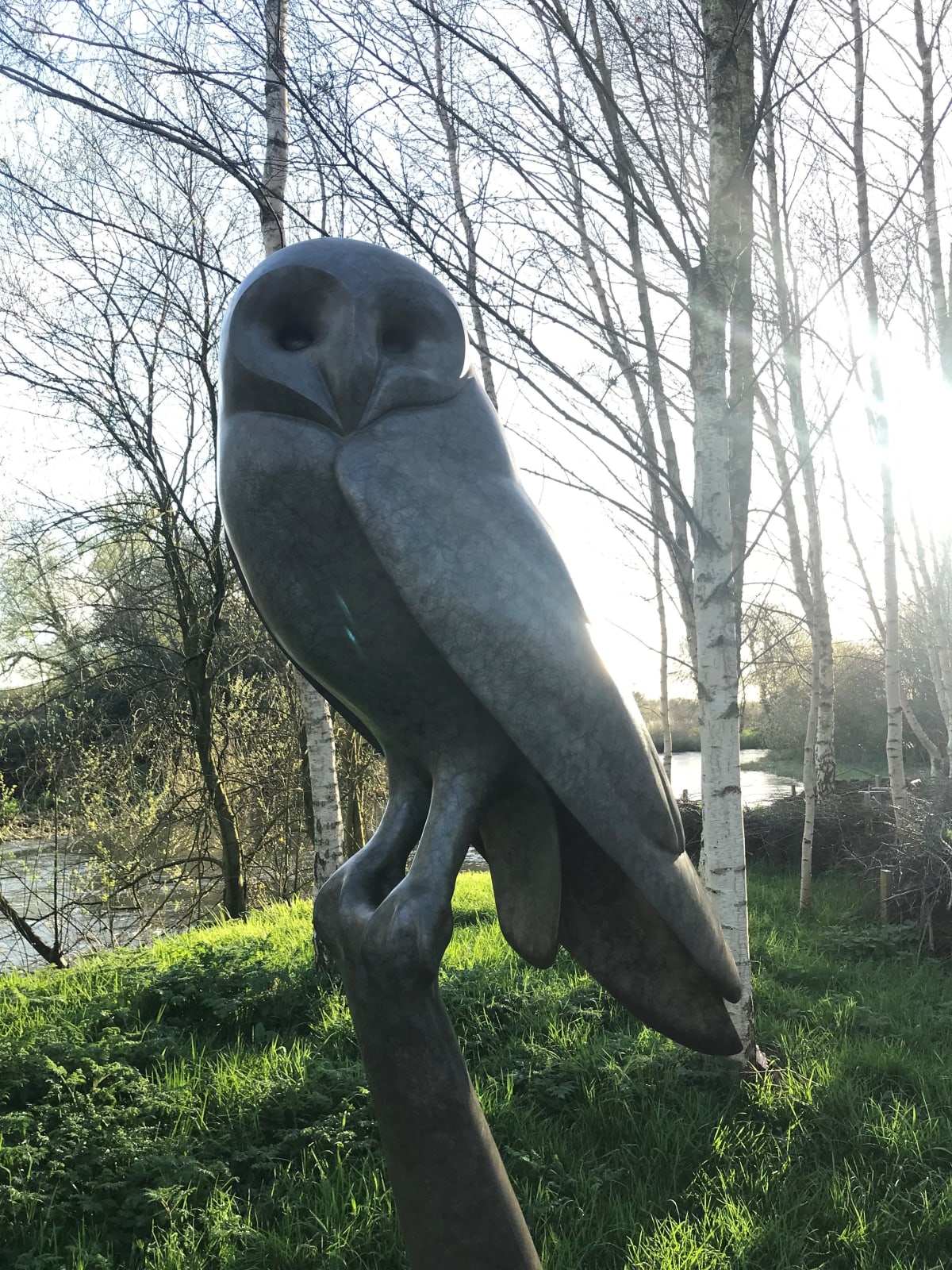 Carl Longworth, Barn Owl Resting