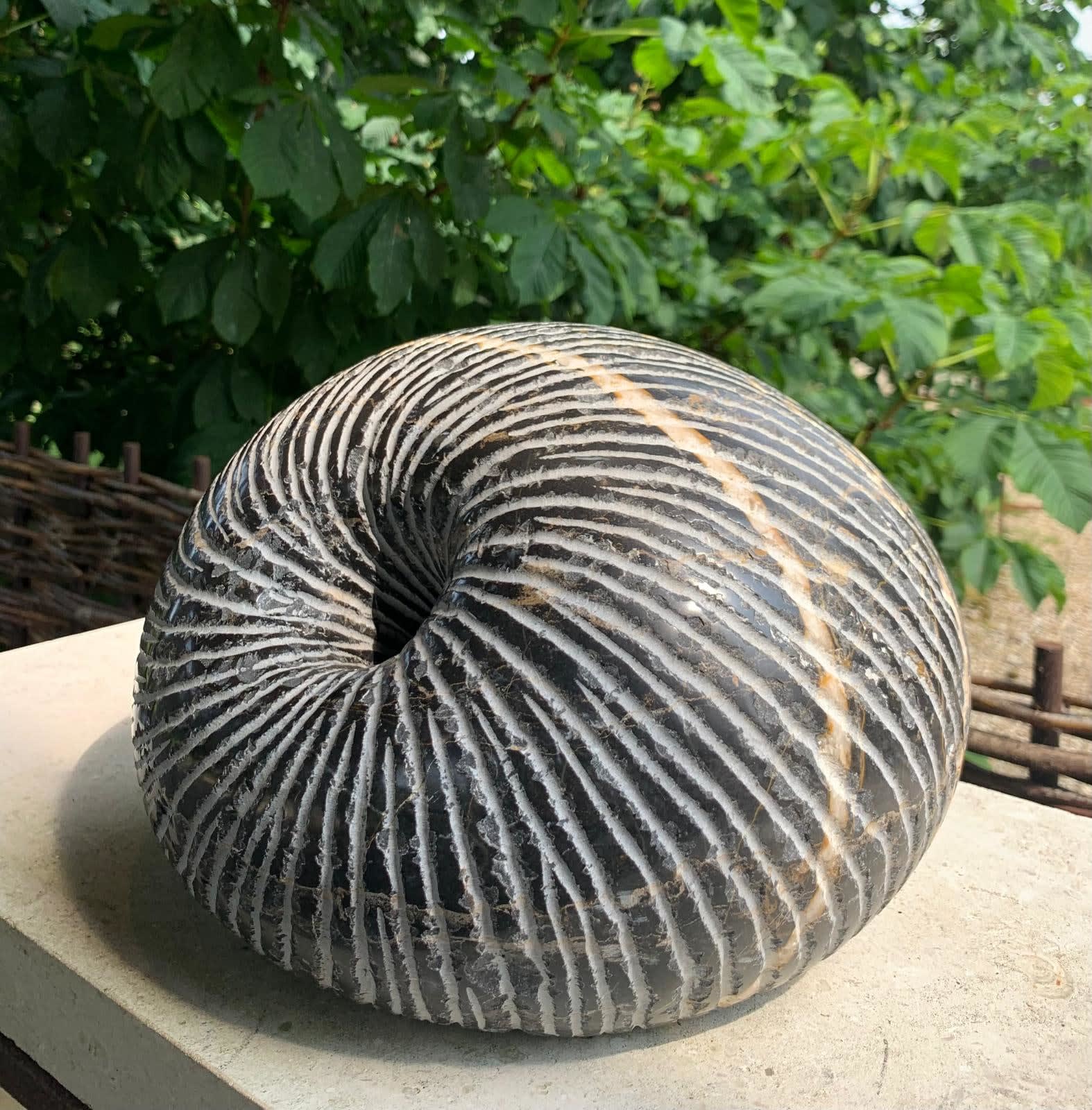 Jonathan Loxley, Pebble, 2023