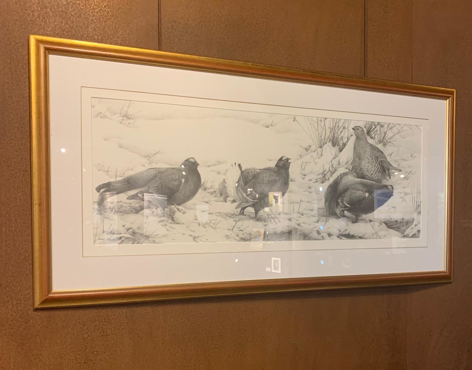 Terence Lambert, Black Grouse Lek