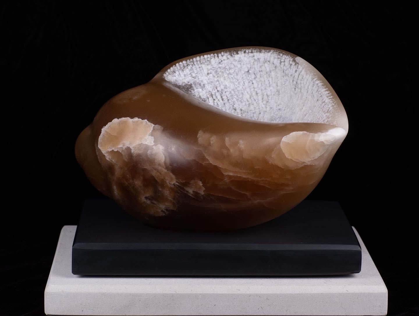 Ray Moseley, The Papillon Shell , 2023