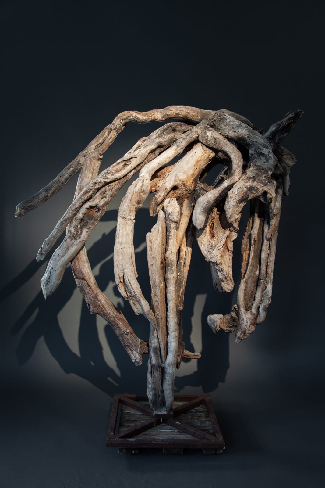 Heather Jansch, Shaker