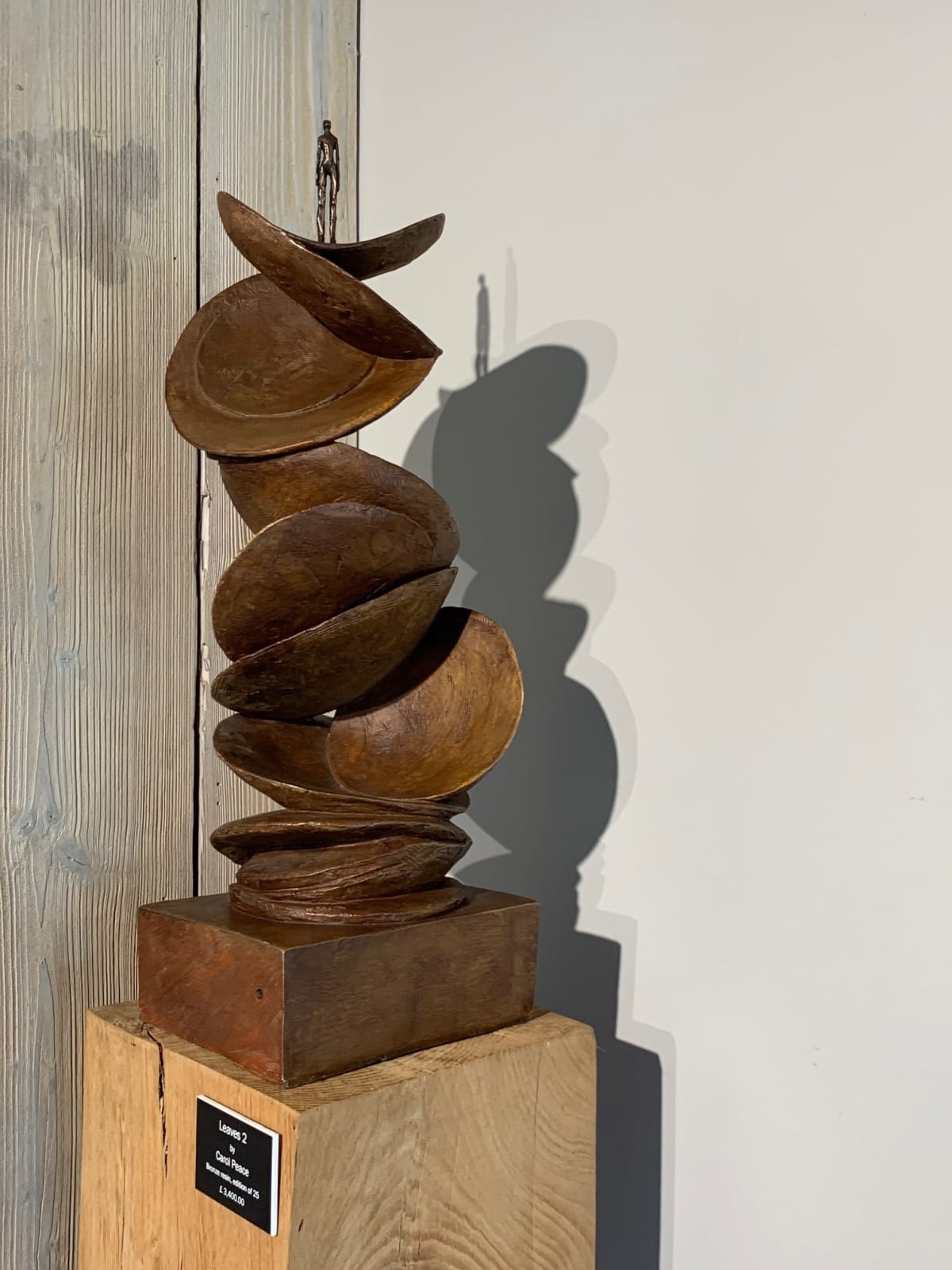 Carol Peace, Leaves 2