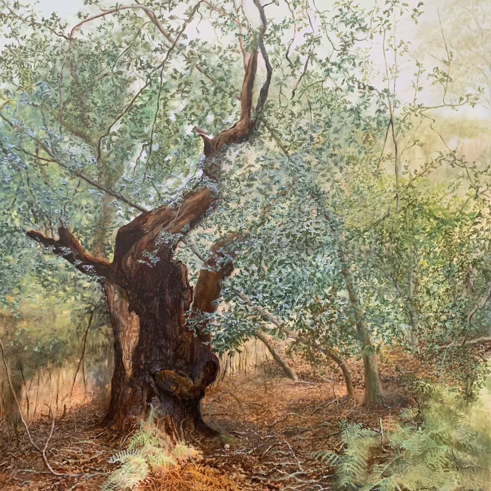 Jacqui Wedlake-Hatton, Staverton Park I, 2025