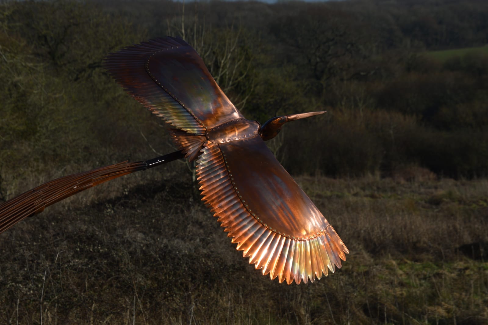 Ted Edley, Heron