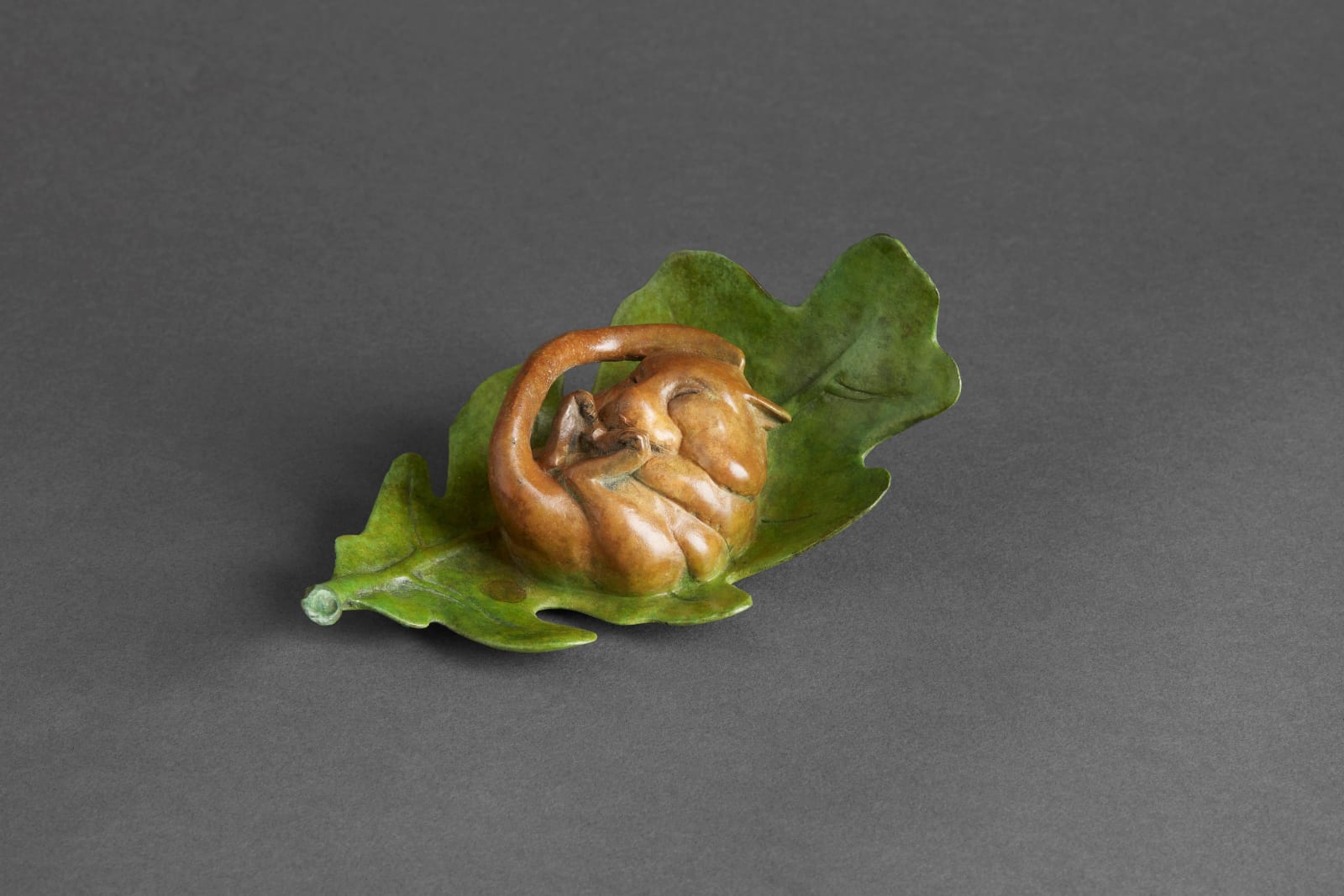 Fred Gordon, Dormouse