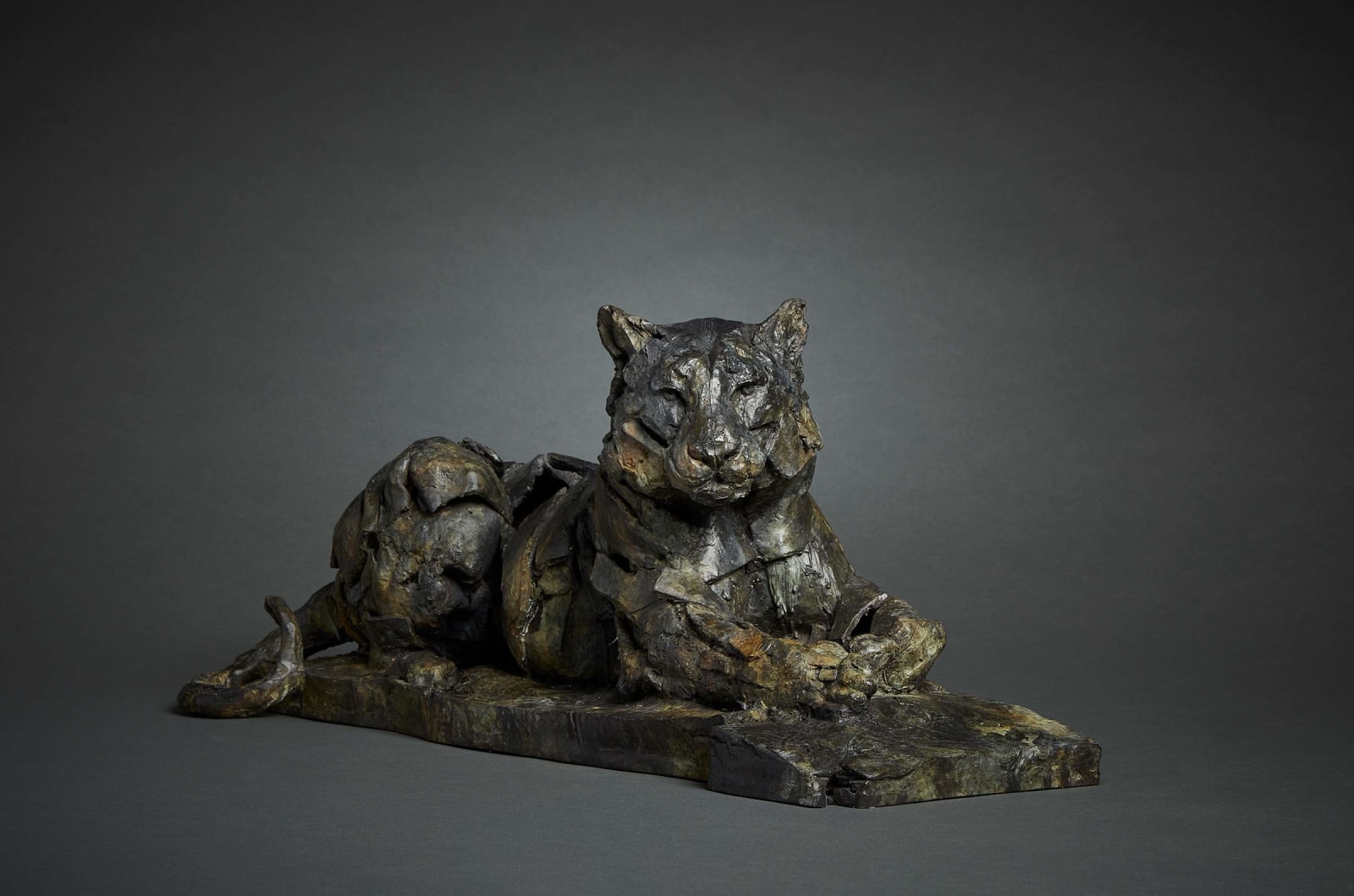 Fred Gordon, Resting Tiger, 2024