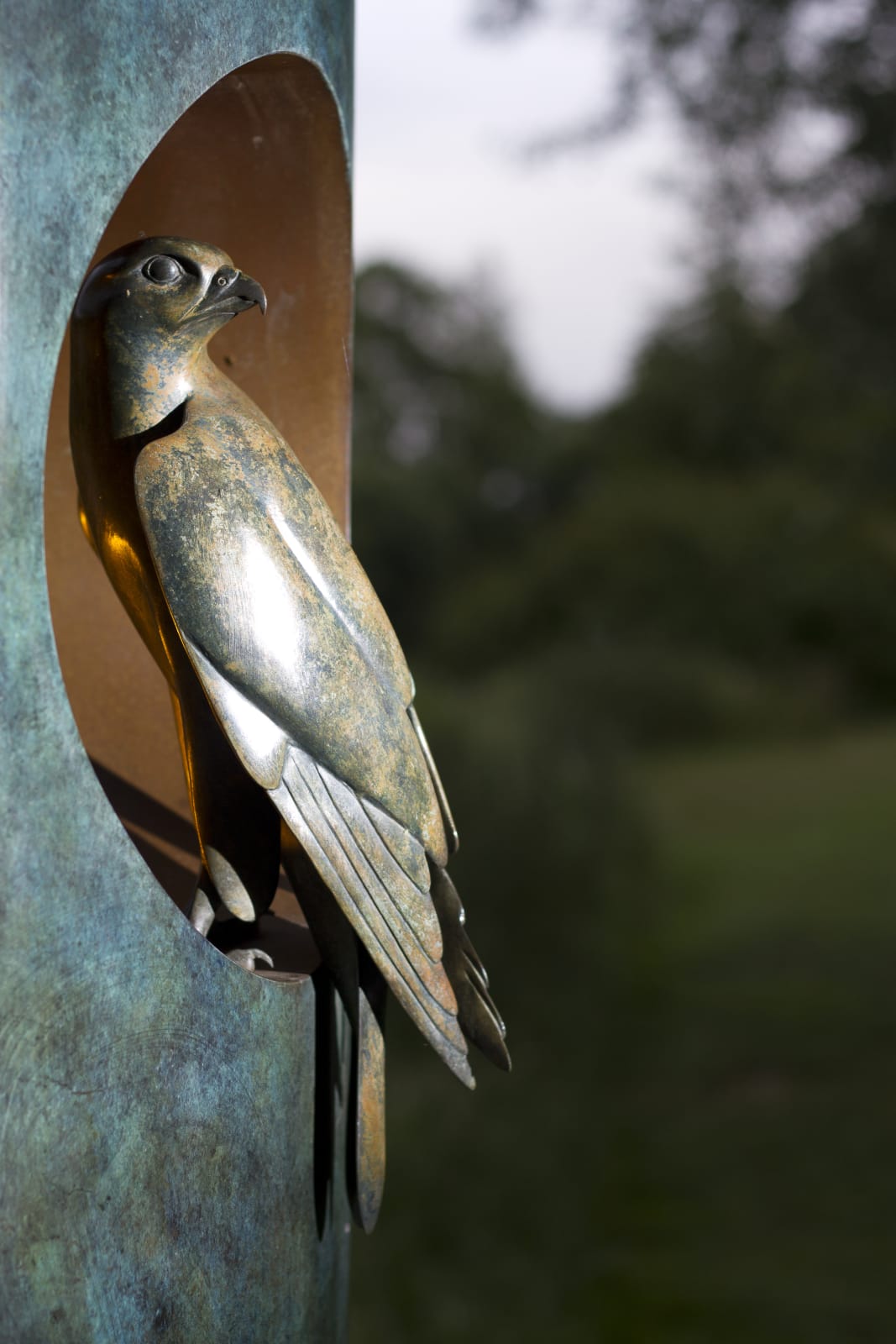 Simon Gudgeon, Falcon