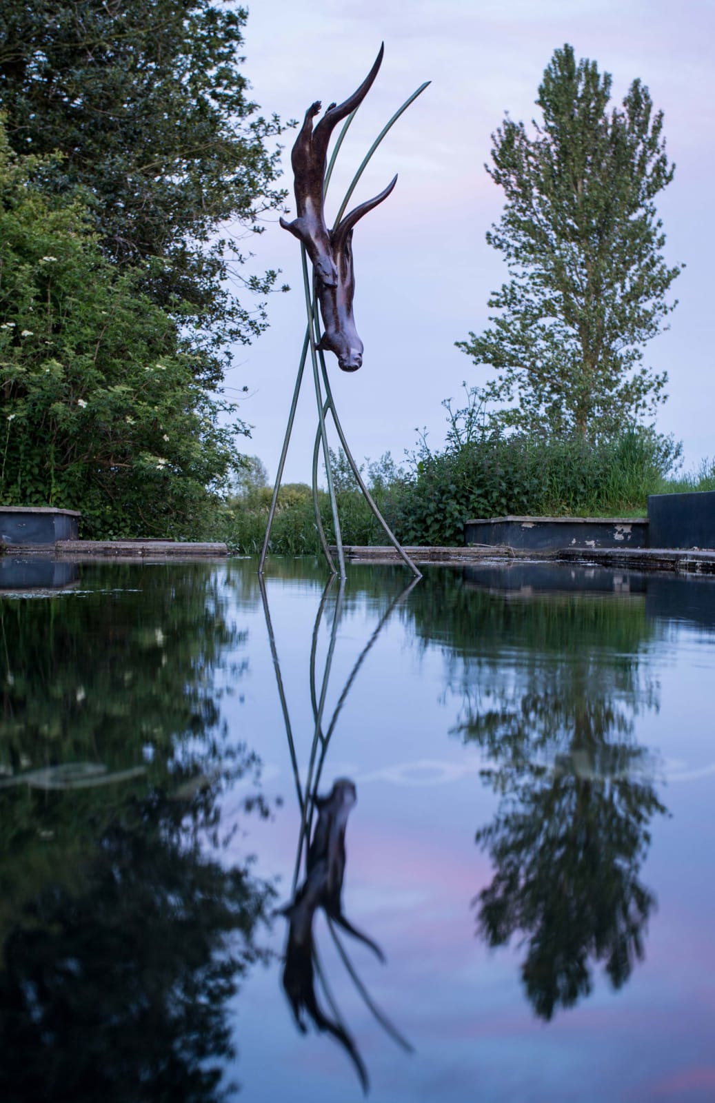 Simon Gudgeon, Diving Otters