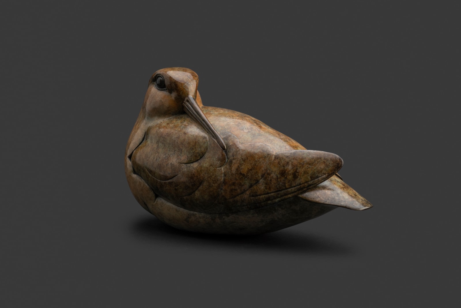 Adam Binder, Woodcock