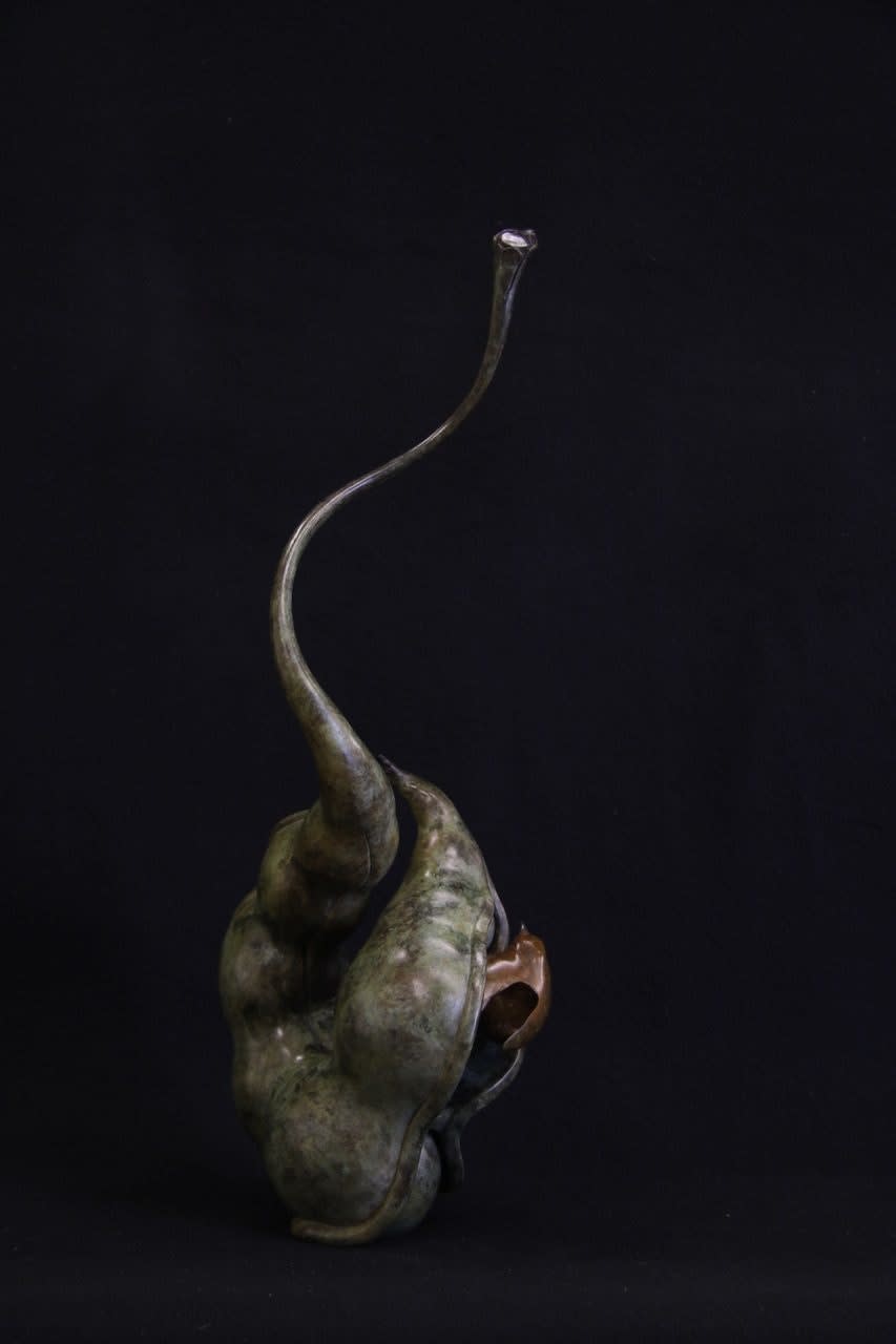 Adam Binder, Wren in a Pod