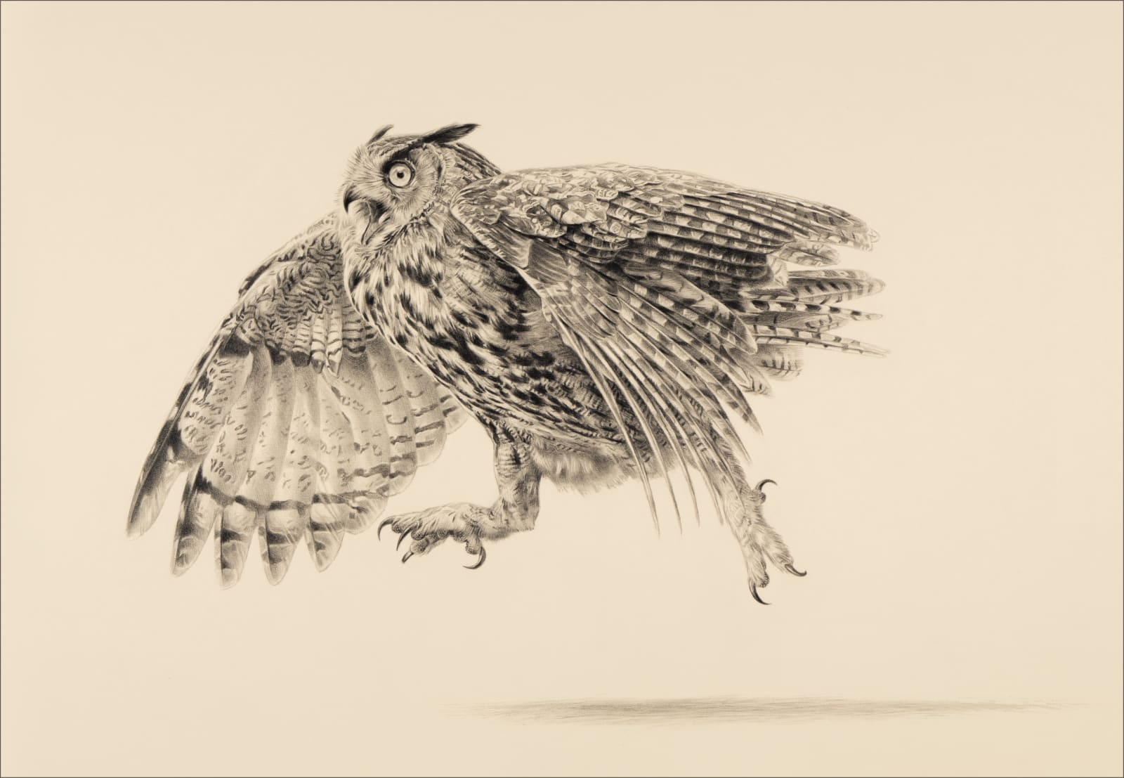 Jonathan Pointer, Running Eagle Owl