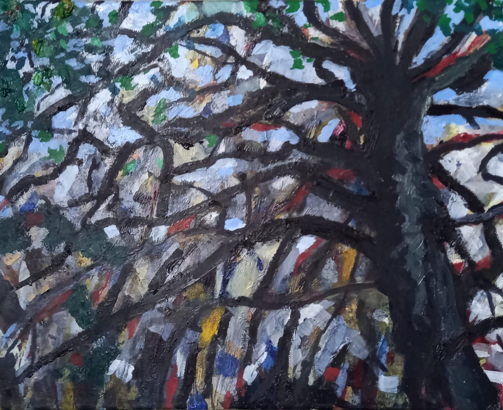 Kevin Tole, Old Beech, Dousland