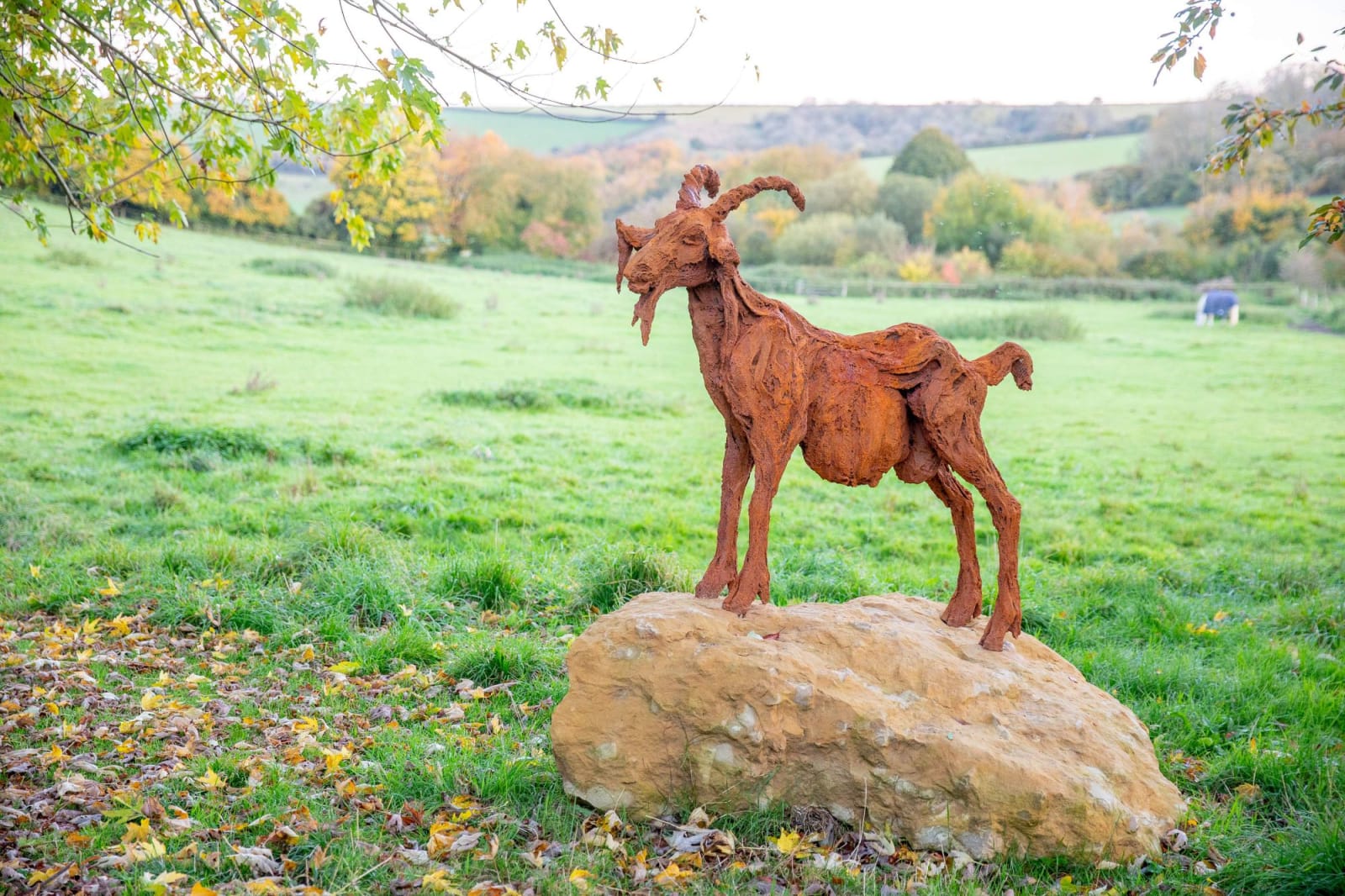 Jane Shaw, Sherlock the Mountain Goat