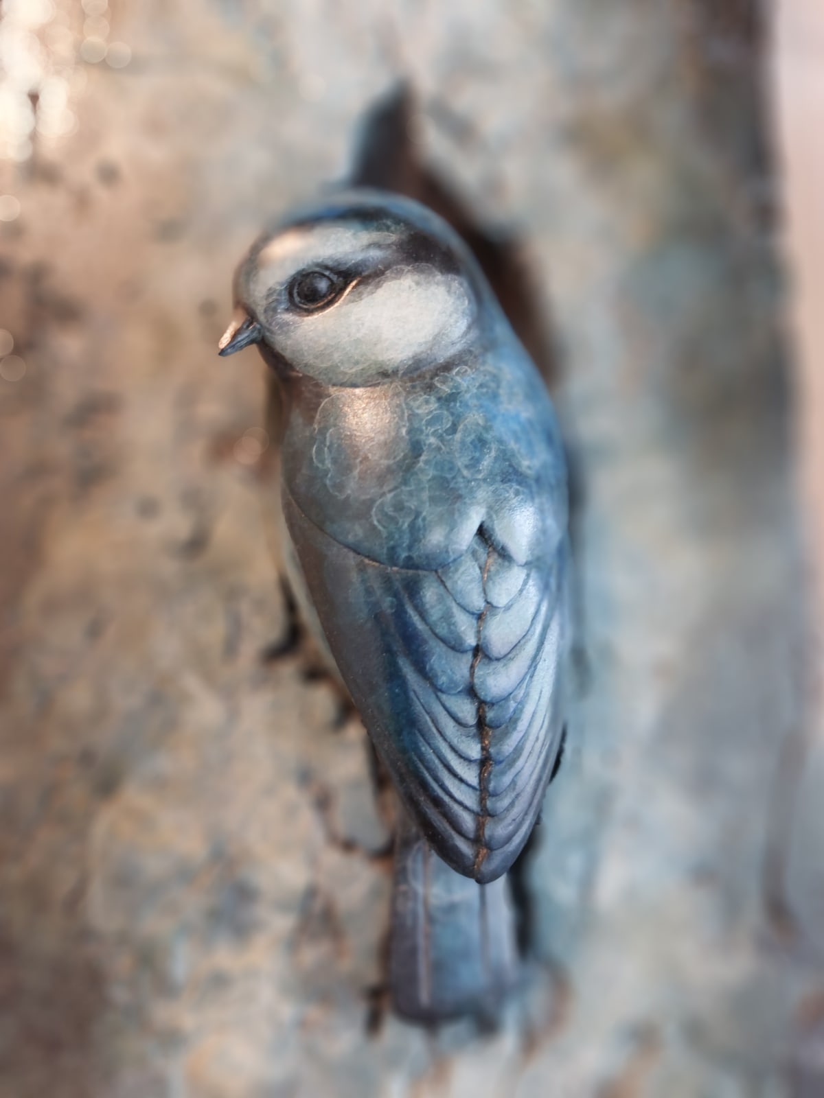 Adam Binder, Blue Tit Plaque, 2021