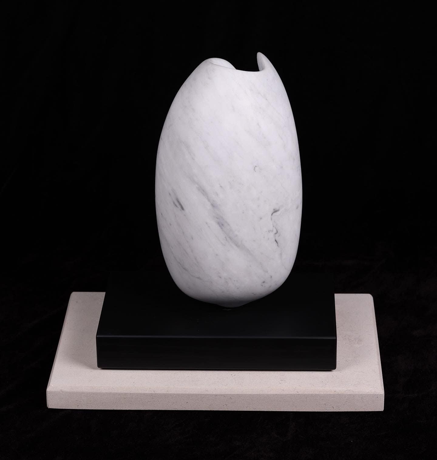 Ray Moseley, The Olive Shell, 2022