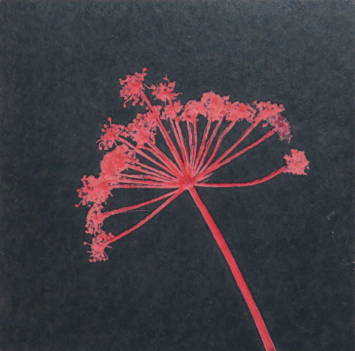 Robin Moorcroft, Solo