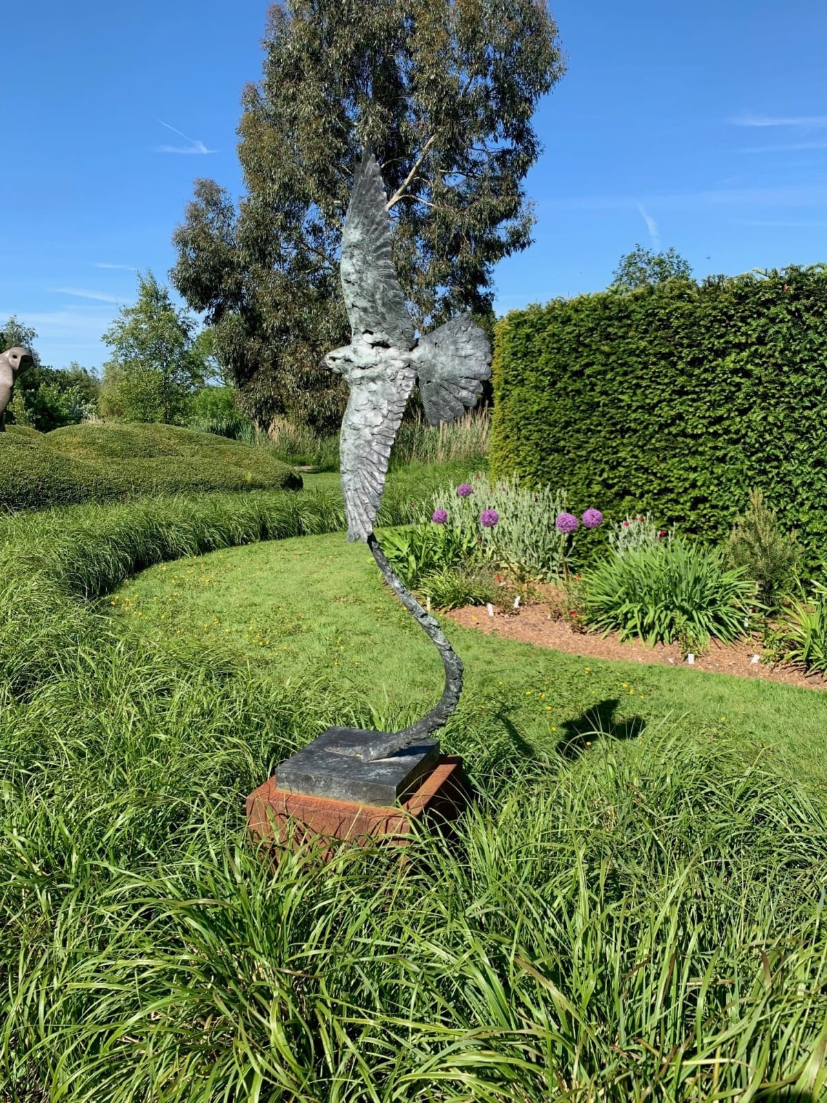 Fred Gordon, Peregrine Falcon