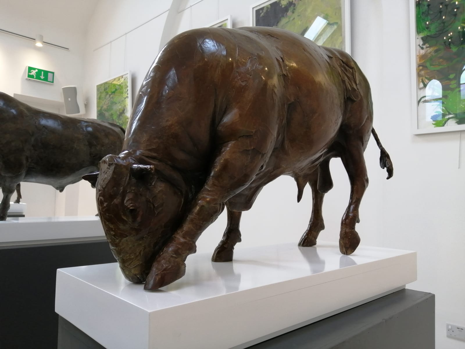 Adam Roud, Bull Scraping