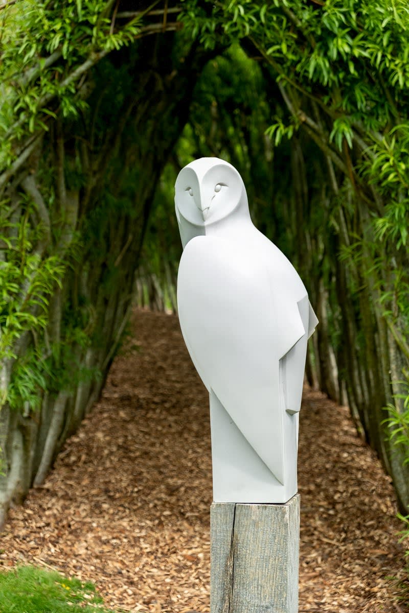 Paul Harvey, Barn Owl Landed, 2023