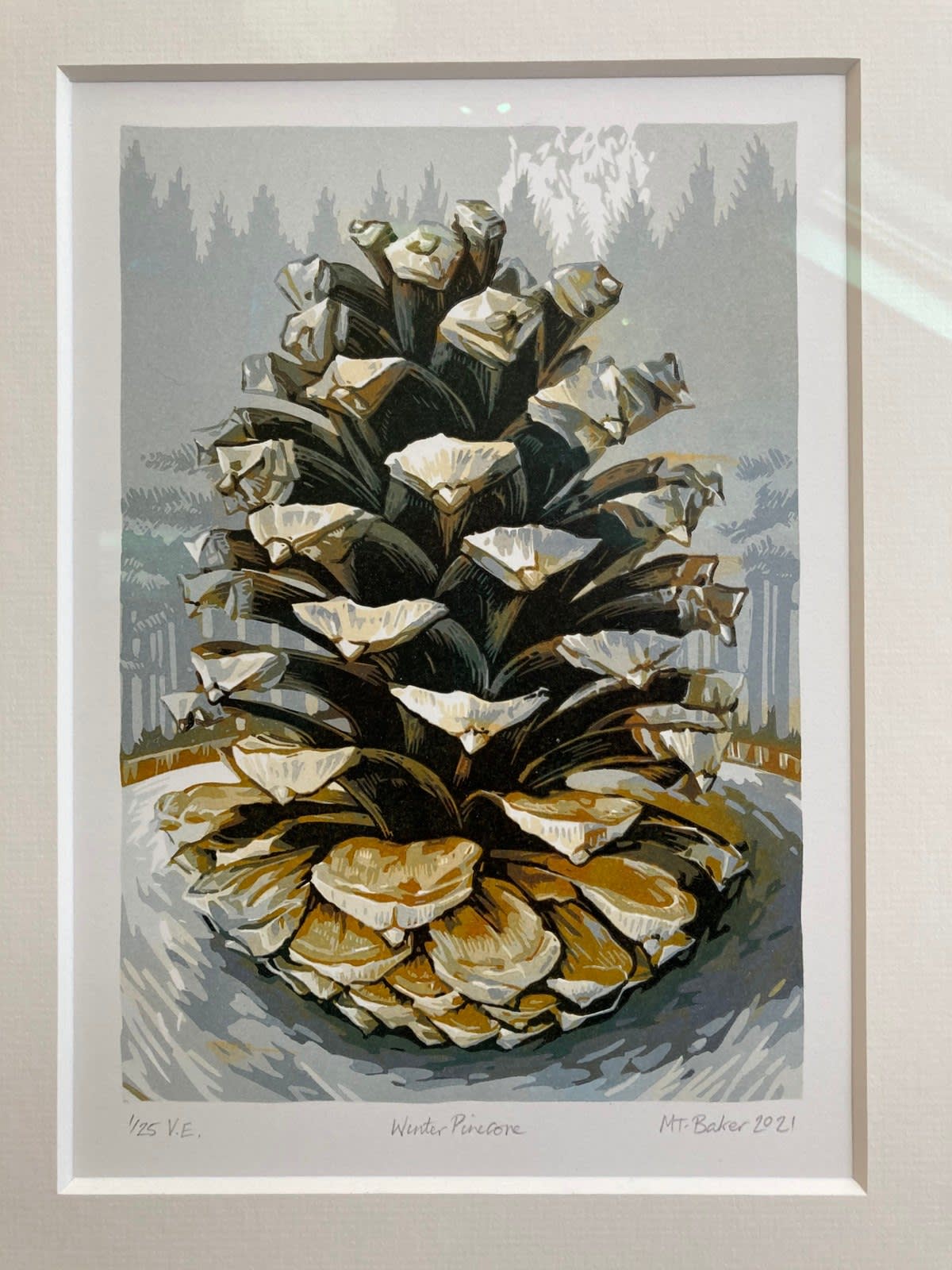 Martin Truefitt-Baker, Winter Pinecone