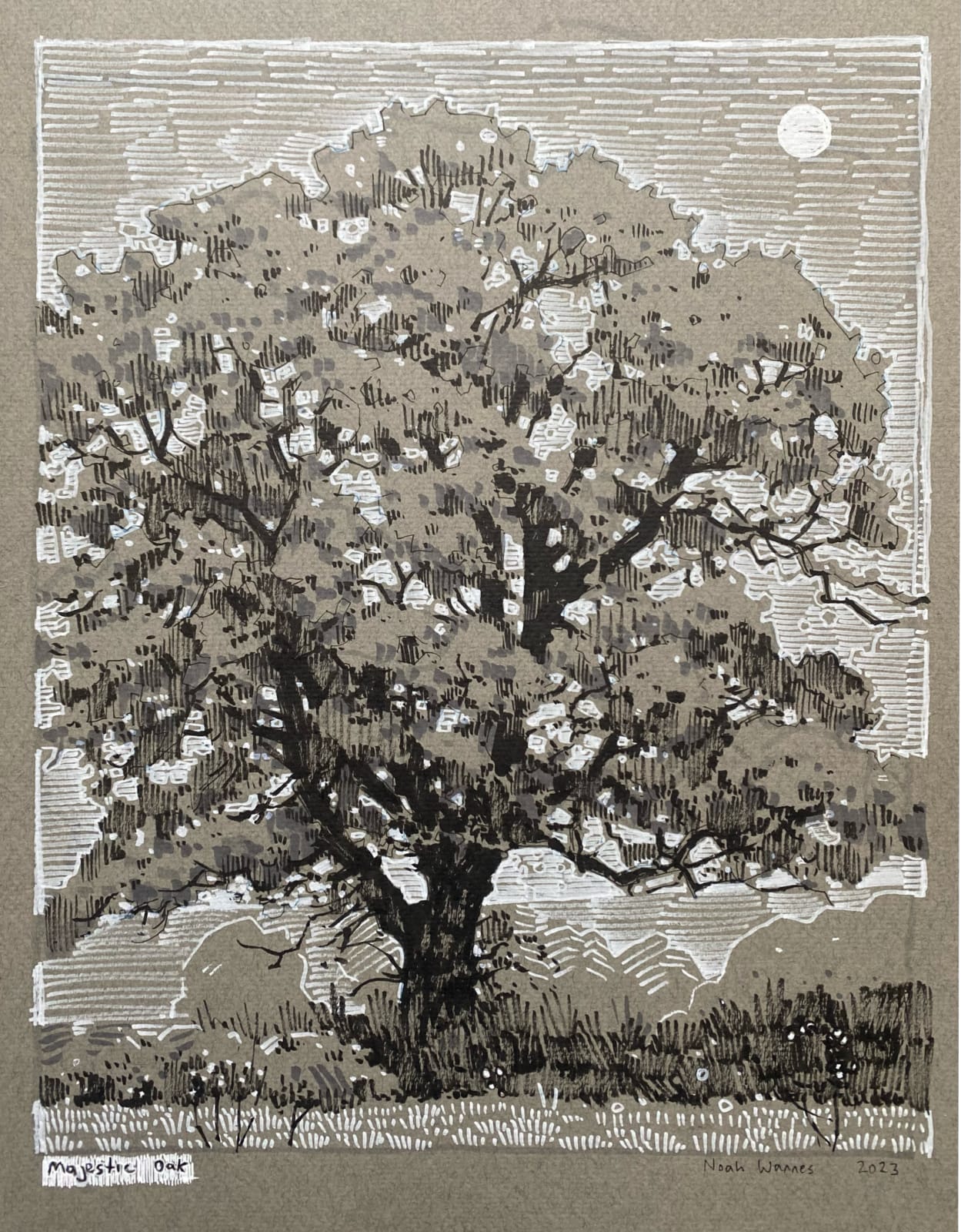 Noah Warnes, Majestic Oak , 2023