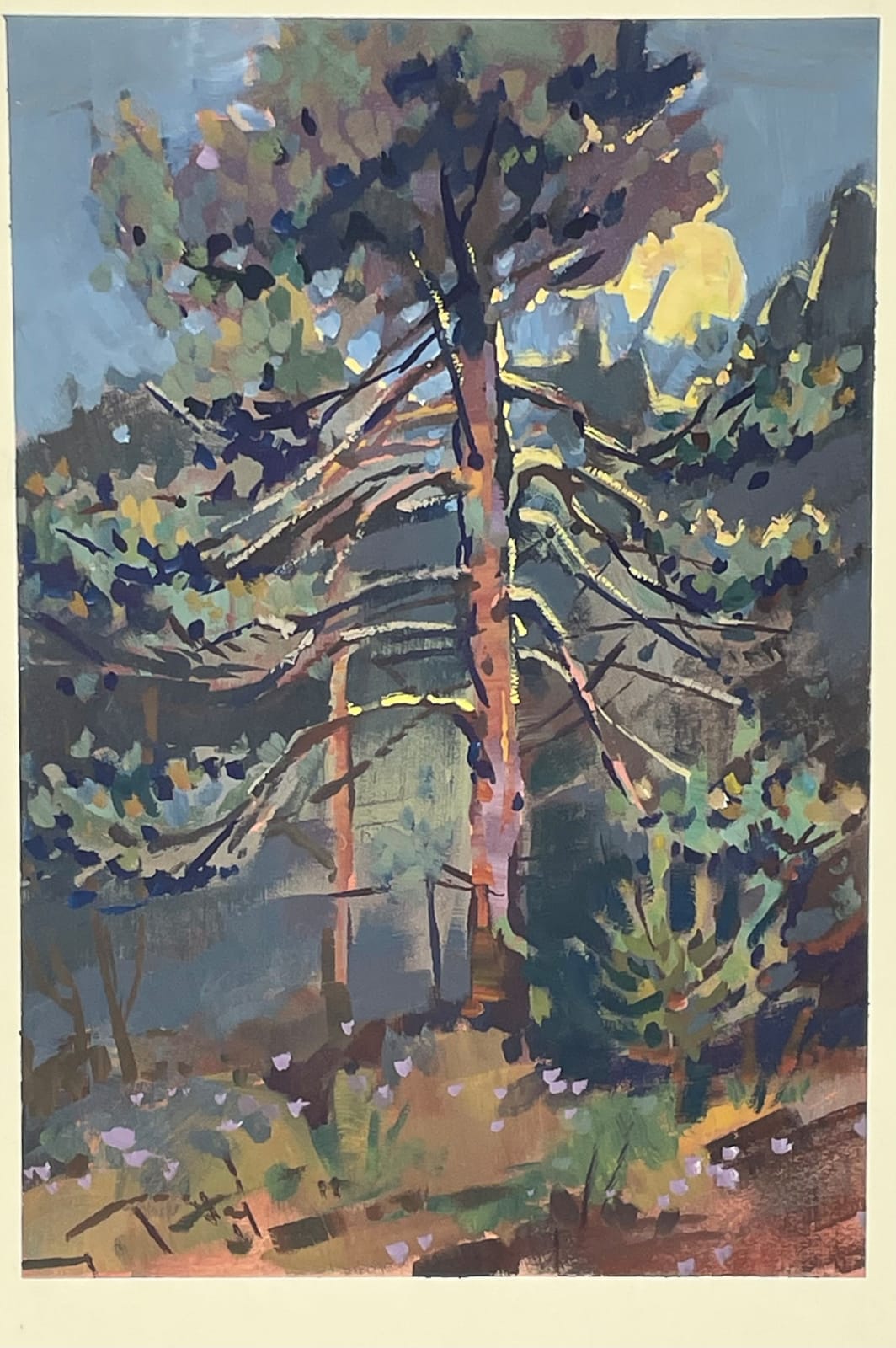 Noah Warnes, Scots Pine Nocturne, 2023