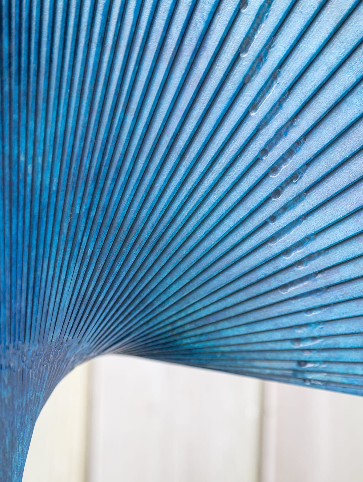 Thomas Joynes, Radiant