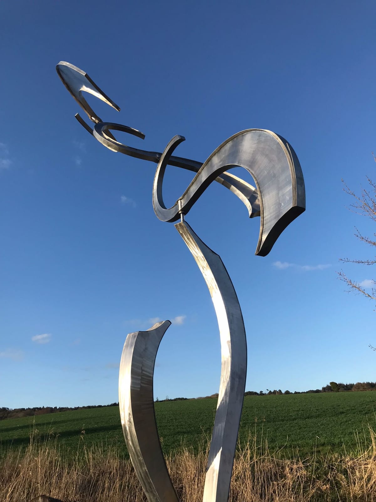 Will Carr, Fluidity
