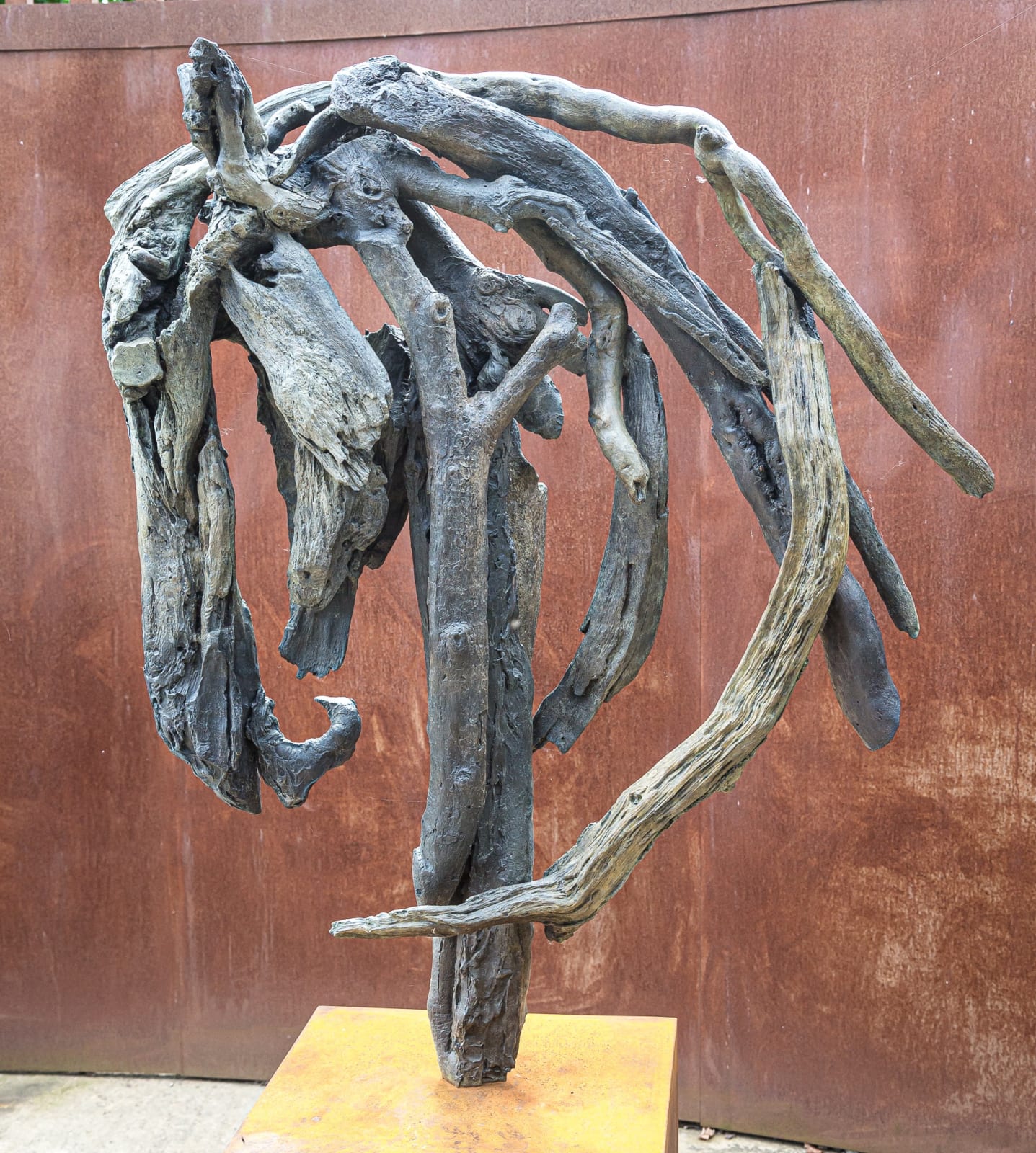 Heather Jansch, Shaker