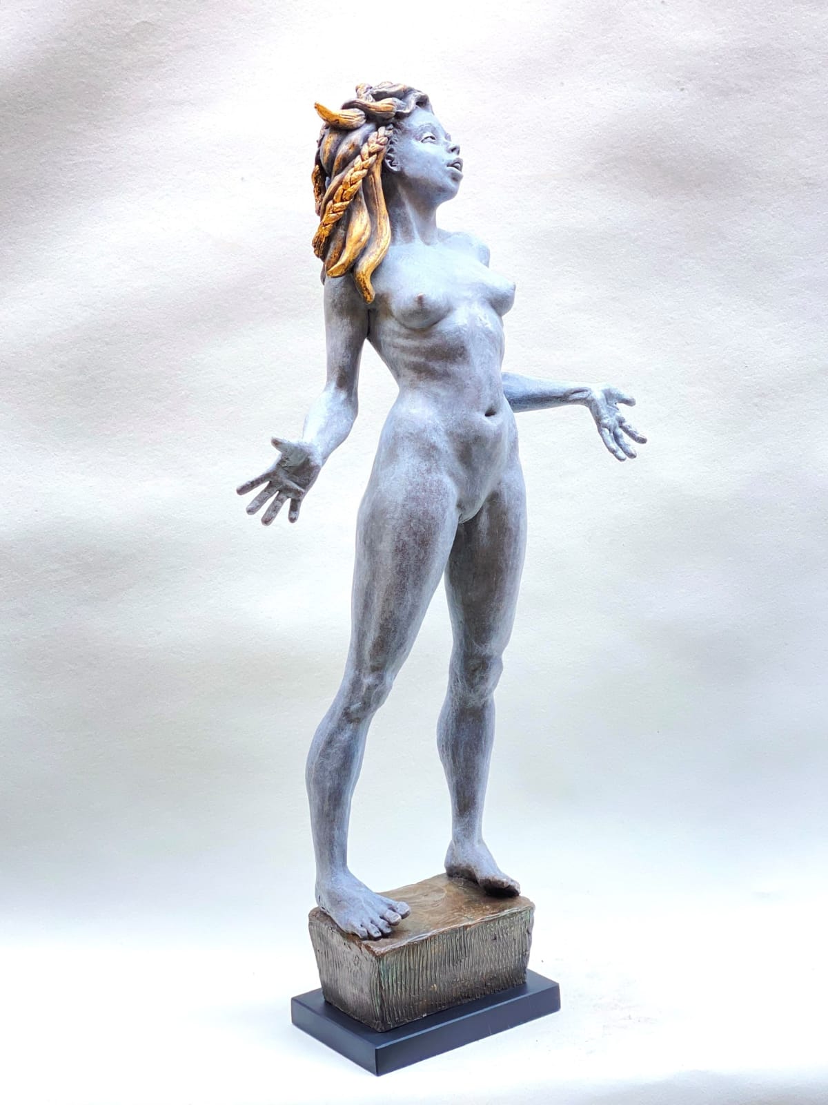 Lucianne Lassalle, Miss Fit (#1 From the Three Miss Graces series), 2022