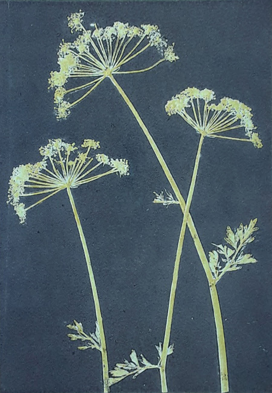 Robin Moorcroft, Crossover